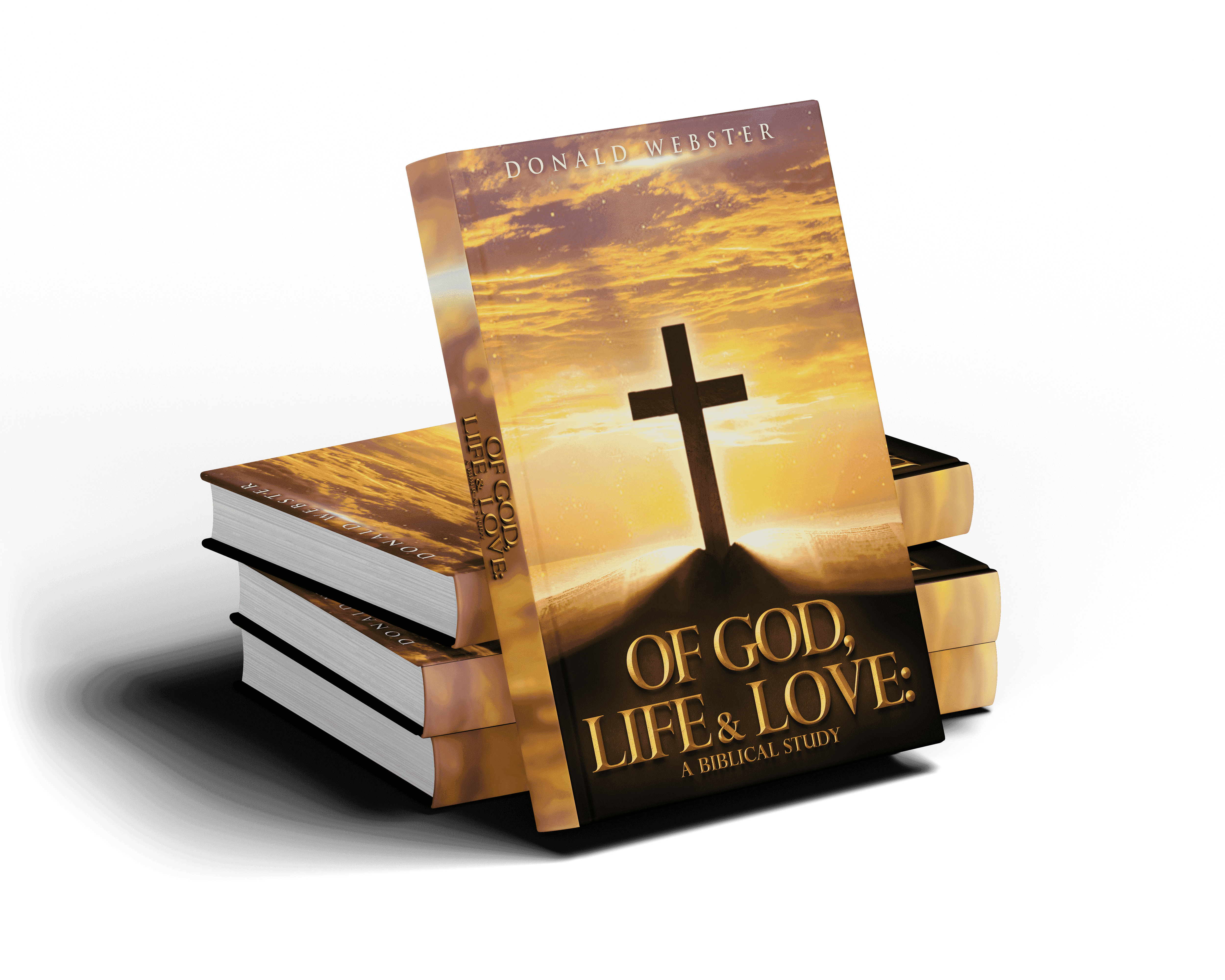 A colorful artwork depicting the essence of spirituality, vitality, and affection through intricate designs and vivid hues